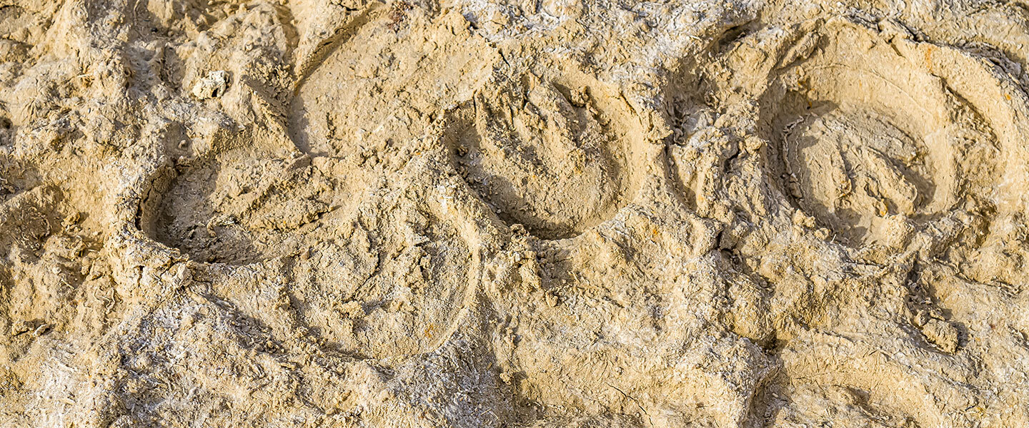 Equine Arena sand footing