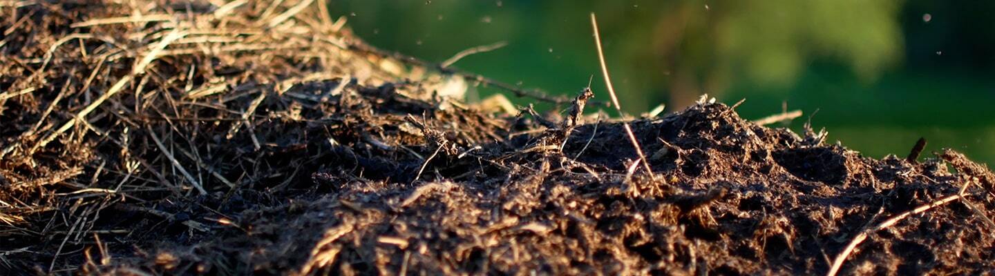 Close-up view of a pile of compost