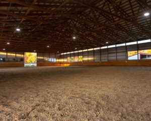 Indoor synthetic footing equine arena