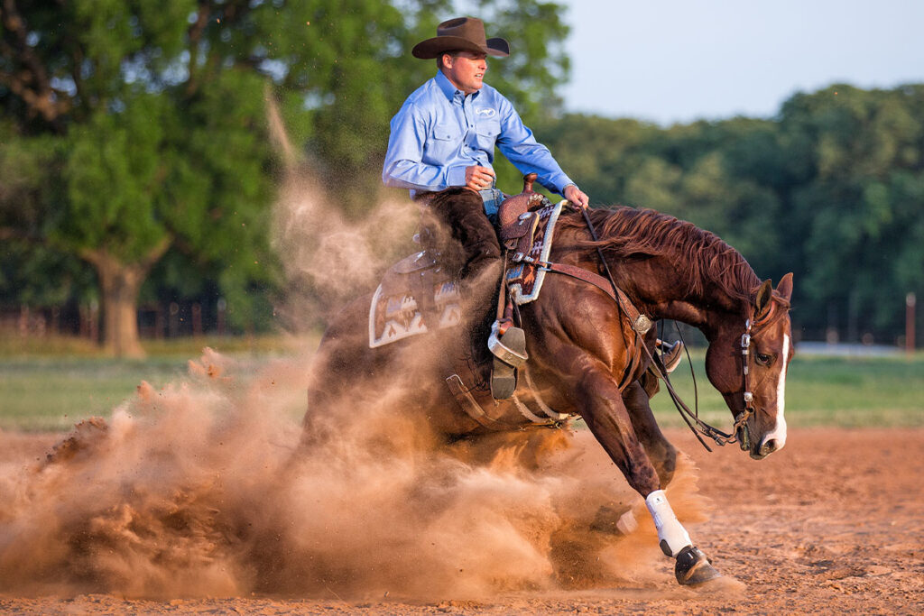Horse Arena Footing