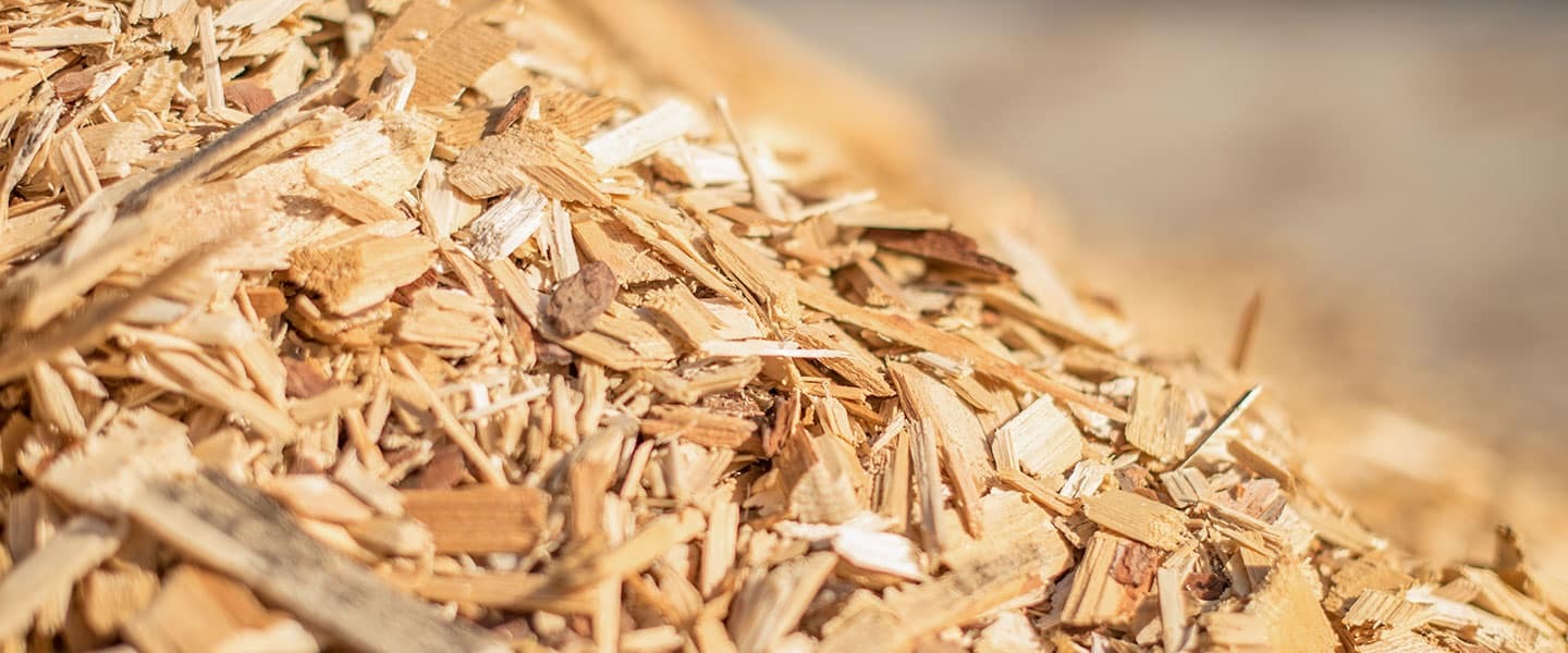 Woodchips