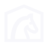 Horse Stable Icon