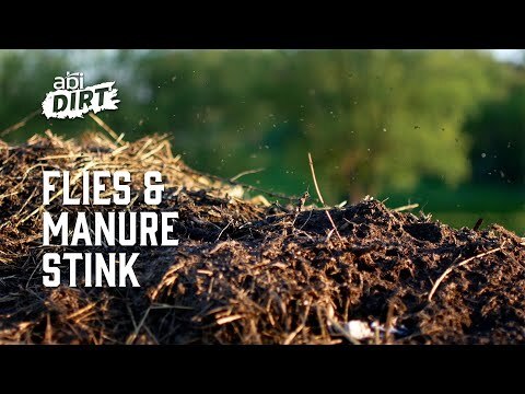 The phrase ‘Flies & Manure Stink’ appears in the bottom left, with 'ABI Dirt' shown in the top left of the image.