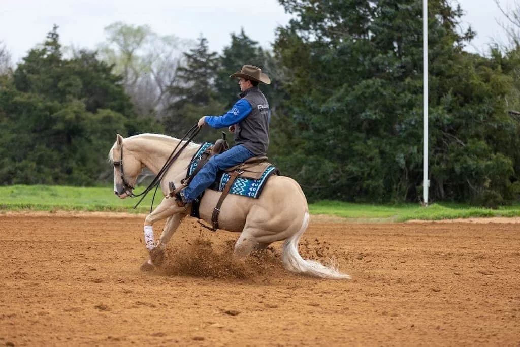 Horse and rider performing in a riding arena in competition.