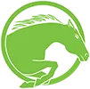 Performance Icon